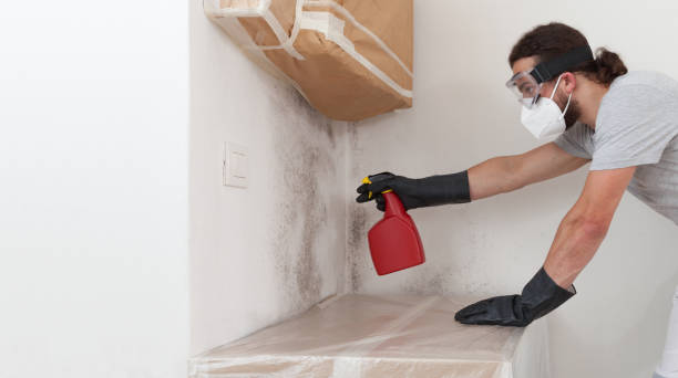 Professional Basement Mold Remediation technician working in Lumberville, PA
