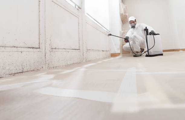 24/7 Emergency Basement Mold Remediation experts in Lumberville, PA