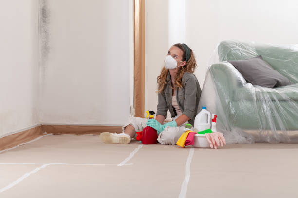 Reliable Basement Mold Remediation contractor in Lumberville, PA by Car Mold Remediation